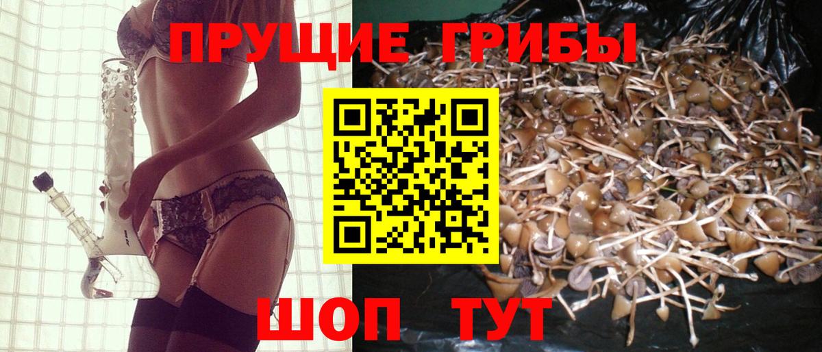 Псилоцибиновые грибы GOLDEN TEACHER  Галлюциногенные грибы Psilocybe  Дальнегорск  Вход с VPN 
